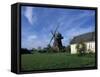 Landscape with Wooden Windmill and Two Houses in the Village of Kvarnbacken, Oland Island, Sweden-Richard Nebesky-Framed Stretched Canvas