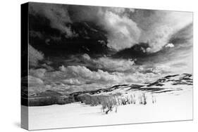 Landscape, Wyoming, USA-Simon Marsden-Stretched Canvas