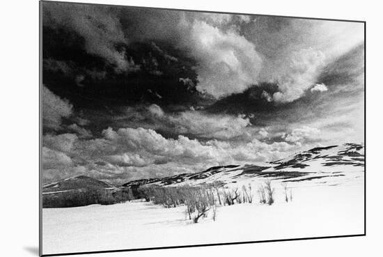 Landscape, Wyoming, USA-Simon Marsden-Mounted Giclee Print