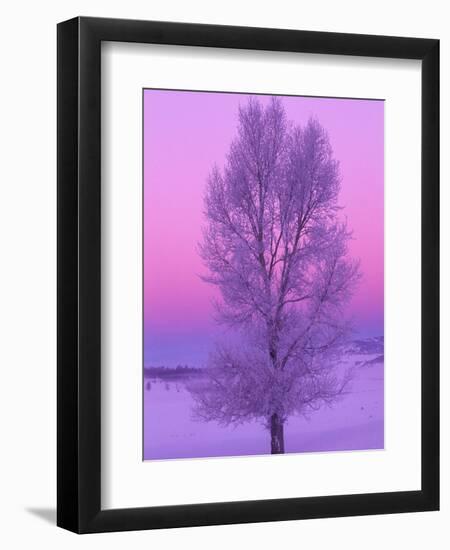 Landscape, Yellowstone National Park, Wyoming, USA-Art Wolfe-Framed Photographic Print