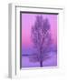 Landscape, Yellowstone National Park, Wyoming, USA-Art Wolfe-Framed Photographic Print