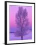 Landscape, Yellowstone National Park, Wyoming, USA-Art Wolfe-Framed Photographic Print