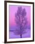 Landscape, Yellowstone National Park, Wyoming, USA-Art Wolfe-Framed Photographic Print