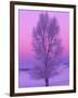 Landscape, Yellowstone National Park, Wyoming, USA-Art Wolfe-Framed Photographic Print