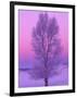 Landscape, Yellowstone National Park, Wyoming, USA-Art Wolfe-Framed Photographic Print