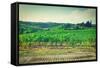 Landscape-gkuna-Framed Stretched Canvas