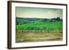 Landscape-gkuna-Framed Photographic Print