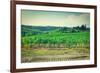 Landscape-gkuna-Framed Photographic Print