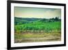 Landscape-gkuna-Framed Photographic Print