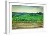 Landscape-gkuna-Framed Photographic Print