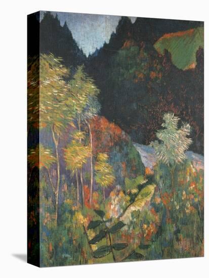 Landscape-Paul Gauguin-Stretched Canvas