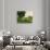 Landscape-Paul C?zanne-Giclee Print displayed on a wall