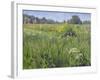 Landscape-Rusty Frentner-Framed Giclee Print