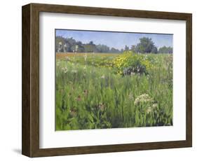 Landscape-Rusty Frentner-Framed Giclee Print