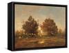 Landscape-null-Framed Stretched Canvas