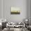 Landscape-Caspar David Friedrich-Stretched Canvas displayed on a wall