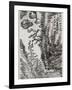 Landscape-Hua Yao-Framed Giclee Print