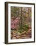 Landscape-Rusty Frentner-Framed Giclee Print