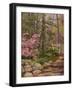 Landscape-Rusty Frentner-Framed Giclee Print