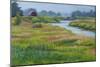 Landscape-Rusty Frentner-Mounted Giclee Print