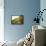 Landscape-Gerry Embleton-Framed Stretched Canvas displayed on a wall