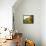 Landscape-Gerry Embleton-Framed Stretched Canvas displayed on a wall