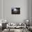 Landscape-Andrea Locatelli-Framed Stretched Canvas displayed on a wall