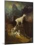 Landscape-Albert Bierstadt-Mounted Giclee Print