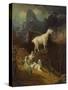 Landscape-Albert Bierstadt-Stretched Canvas