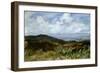 Landscape-Giovanni Muzzioli-Framed Giclee Print