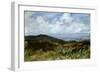 Landscape-Giovanni Muzzioli-Framed Giclee Print