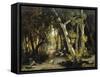 Landscape-Alessandro Guardassoni-Framed Stretched Canvas