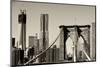 Landscapes - Brooklyn Bridge - New York - United States-Philippe Hugonnard-Mounted Photographic Print