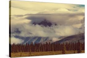 Landscapes on Denali Highway, Alaska. Instagram Filter.-Andrushko Galyna-Stretched Canvas