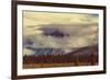 Landscapes on Denali Highway, Alaska. Instagram Filter.-Andrushko Galyna-Framed Photographic Print