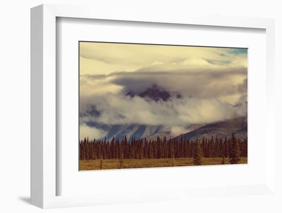 Landscapes on Denali Highway, Alaska. Instagram Filter.-Andrushko Galyna-Framed Photographic Print