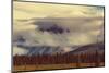 Landscapes on Denali Highway, Alaska. Instagram Filter.-Andrushko Galyna-Mounted Photographic Print