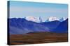 Landscapes on Denali Highway, Alaska.-Andrushko Galyna-Stretched Canvas