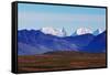 Landscapes on Denali Highway, Alaska.-Andrushko Galyna-Framed Stretched Canvas