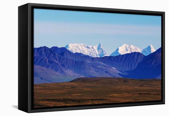 Landscapes on Denali Highway, Alaska.-Andrushko Galyna-Framed Stretched Canvas