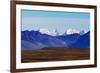 Landscapes on Denali Highway, Alaska.-Andrushko Galyna-Framed Photographic Print