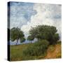 Landschaft Mit Wolke, 1893-Hans Thoma-Stretched Canvas