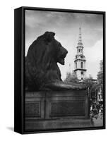 Landseer Lion-null-Framed Stretched Canvas