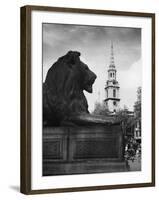 Landseer Lion-null-Framed Photographic Print