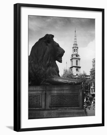 Landseer Lion-null-Framed Photographic Print