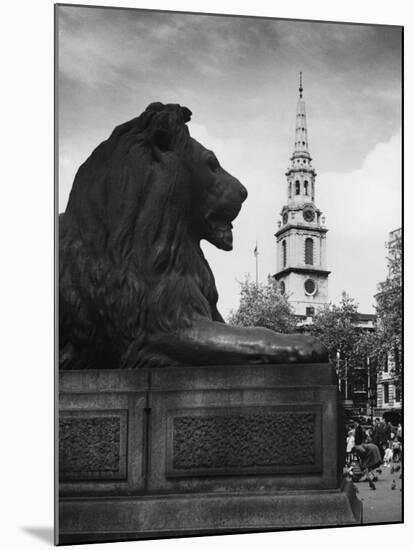 Landseer Lion-null-Mounted Photographic Print