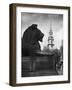 Landseer Lion-null-Framed Photographic Print