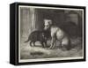 Landseer's Pet Dog Tiney, and Pet Cat-Ebenezer Newman Downard-Framed Stretched Canvas