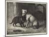 Landseer's Pet Dog Tiney, and Pet Cat-Ebenezer Newman Downard-Mounted Giclee Print