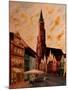 Landshut St Martin Church with Old Town-Markus Bleichner-Mounted Art Print